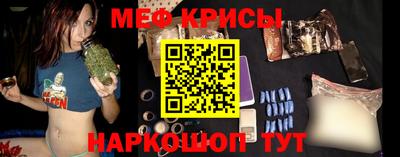 СК Бийск