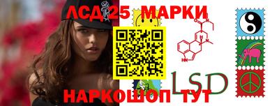 СК Бийск
