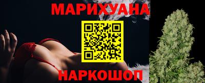 СК Бийск