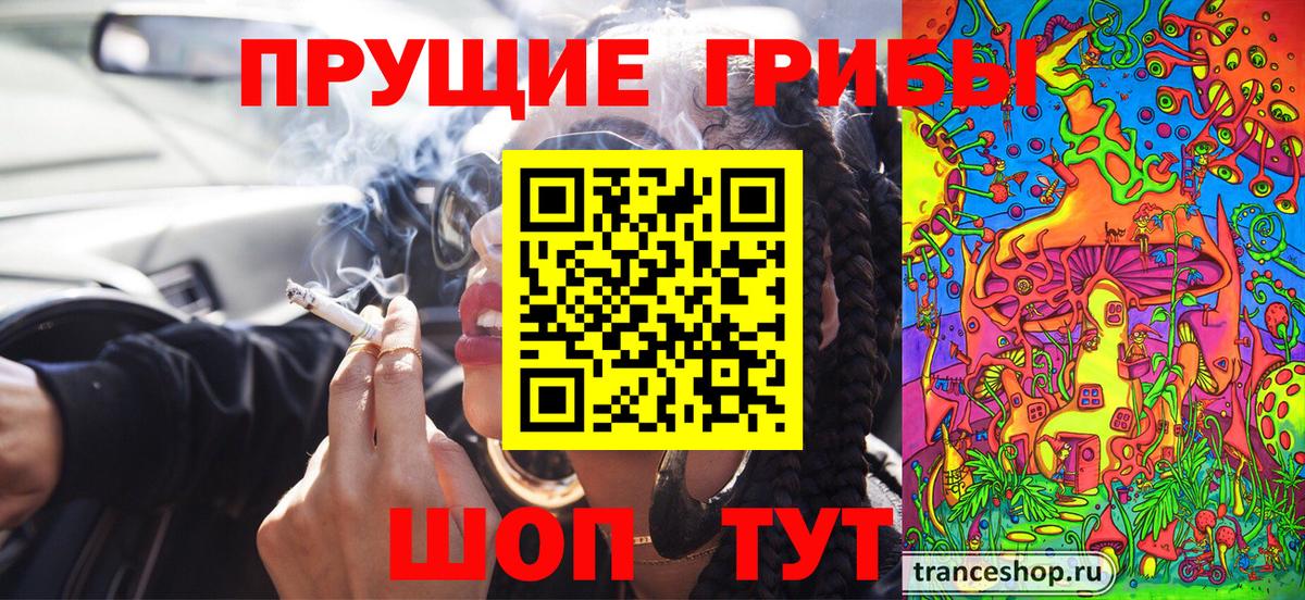 Галлюциногенные грибы мицелий  купить  цена  Ирбит  Вход с VPN 